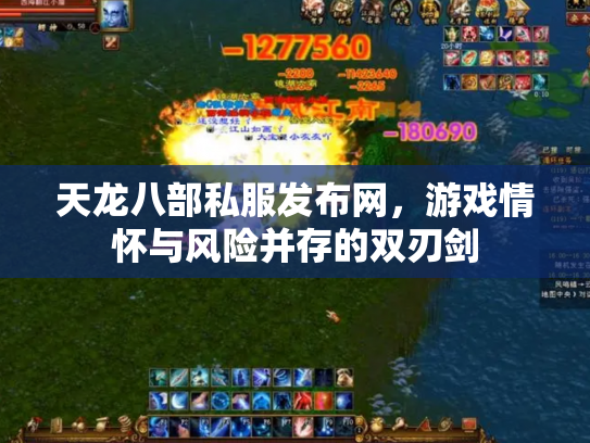 天龙八部私服发布网，游戏情怀与风险并存的双刃剑