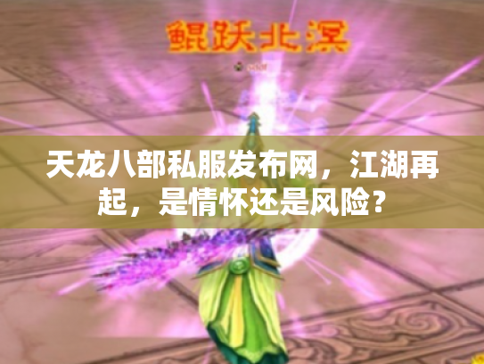天龙八部私服发布网，江湖再起，是情怀还是风险？