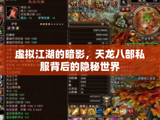 虚拟江湖的暗影，天龙八部私服背后的隐秘世界