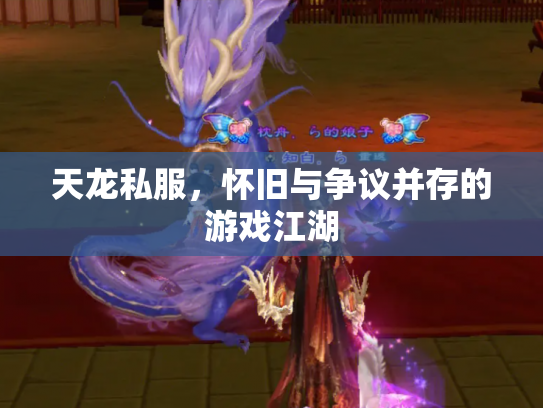 天龙私服，怀旧与争议并存的游戏江湖
