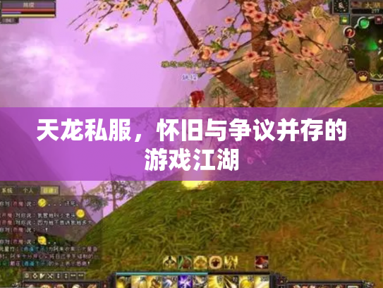 天龙私服，怀旧与争议并存的游戏江湖