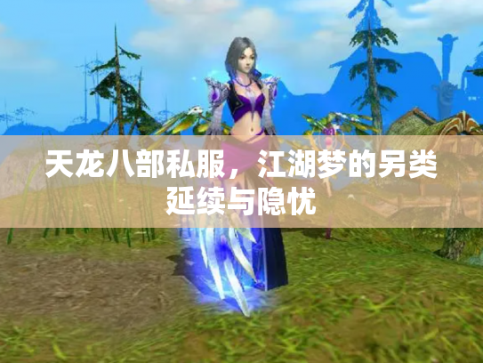 天龙八部私服，江湖梦的另类延续与隐忧