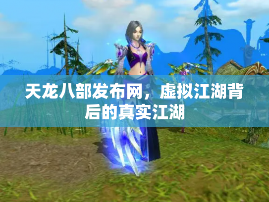 天龙八部发布网，虚拟江湖背后的真实江湖
