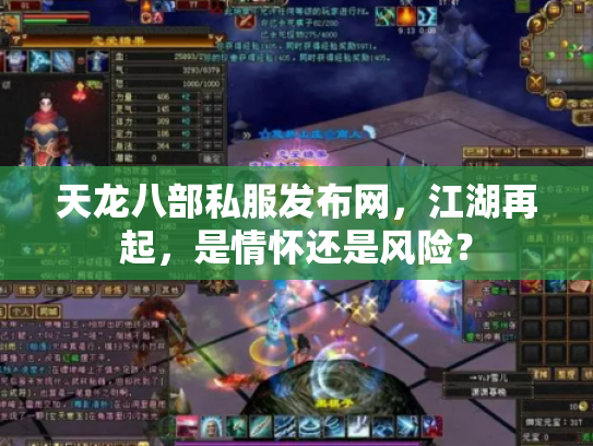 天龙八部私服发布网，江湖再起，是情怀还是风险？