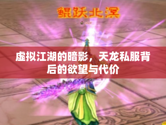 虚拟江湖的暗影，天龙私服背后的欲望与代价