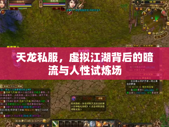 天龙私服，虚拟江湖背后的暗流与人性试炼场