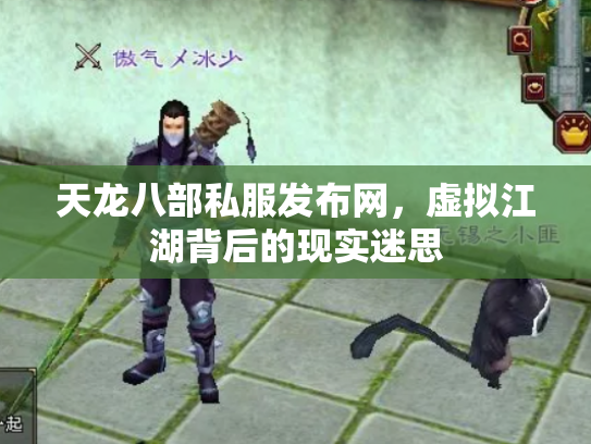 天龙八部私服发布网，虚拟江湖背后的现实迷思