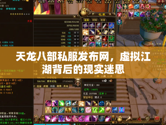 天龙八部私服发布网，虚拟江湖背后的现实迷思