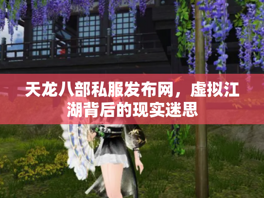 天龙八部私服发布网，虚拟江湖背后的现实迷思