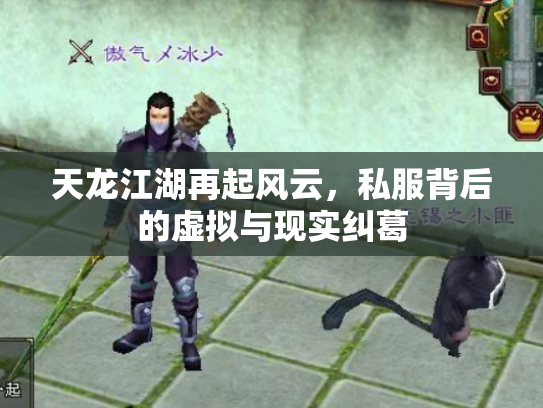 天龙江湖再起风云，私服背后的虚拟与现实纠葛