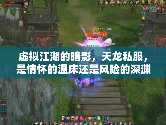 虚拟江湖的暗影，天龙私服，是情怀的温床还是风险的深渊？