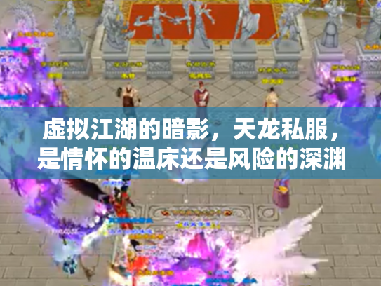 虚拟江湖的暗影，天龙私服，是情怀的温床还是风险的深渊？