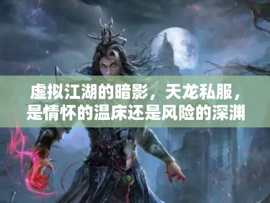 虚拟江湖的暗影，天龙私服，是情怀的温床还是风险的深渊？