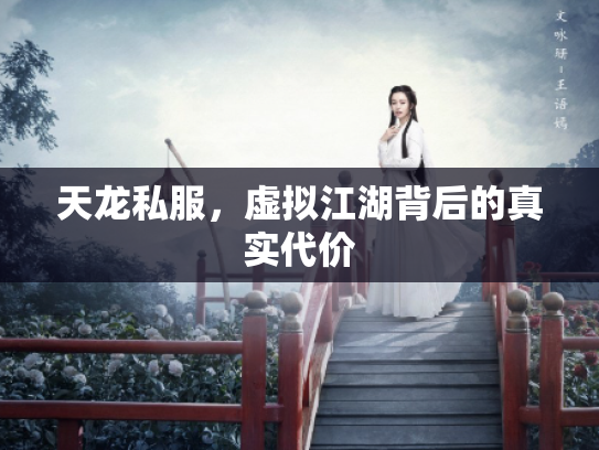 天龙私服，虚拟江湖背后的真实代价