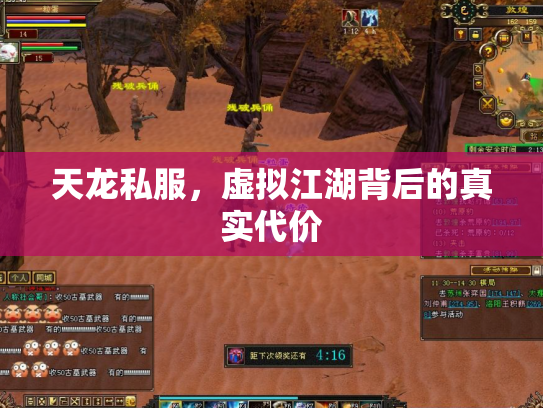 天龙私服，虚拟江湖背后的真实代价