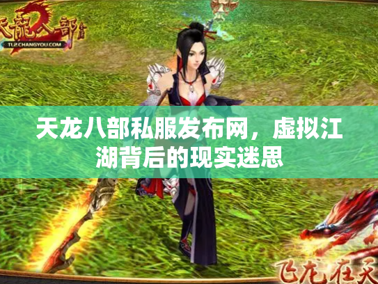 天龙八部私服发布网，虚拟江湖背后的现实迷思