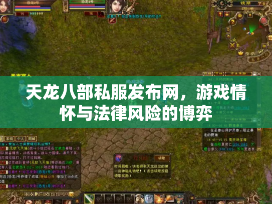 天龙八部私服发布网，游戏情怀与法律风险的博弈