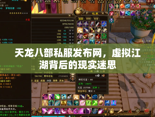 天龙八部私服发布网，虚拟江湖背后的现实迷思