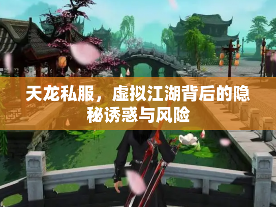 天龙私服，虚拟江湖背后的隐秘诱惑与风险