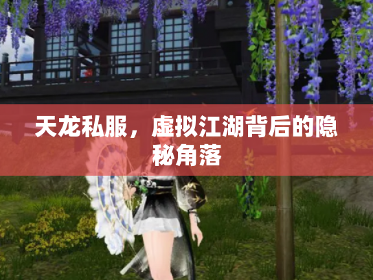 天龙私服，虚拟江湖背后的隐秘角落