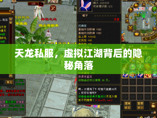 天龙私服，虚拟江湖背后的隐秘角落