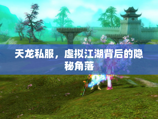 天龙私服，虚拟江湖背后的隐秘角落