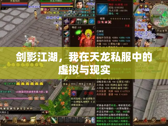 剑影江湖，我在天龙私服中的虚拟与现实