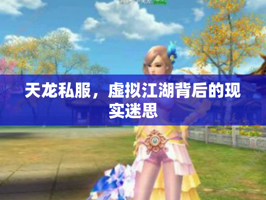 天龙私服，虚拟江湖背后的现实迷思