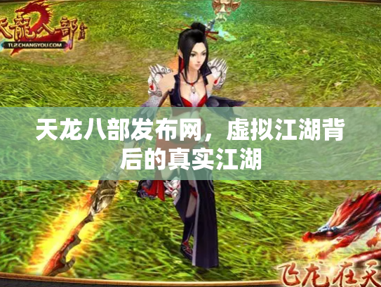 天龙八部发布网，虚拟江湖背后的真实江湖