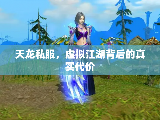 天龙私服，虚拟江湖背后的真实代价