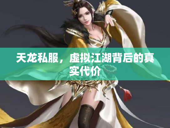 天龙私服，虚拟江湖背后的真实代价