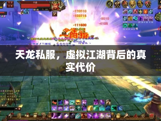 天龙私服，虚拟江湖背后的真实代价