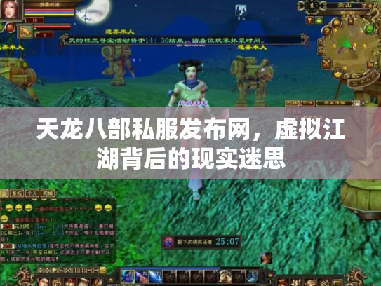 天龙八部私服发布网，虚拟江湖背后的现实迷思