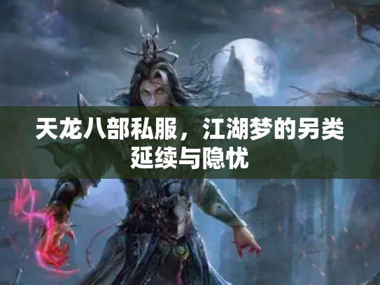 天龙八部私服，江湖梦的另类延续与隐忧