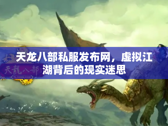 天龙八部私服发布网，虚拟江湖背后的现实迷思