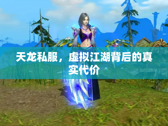 天龙私服，虚拟江湖背后的真实代价