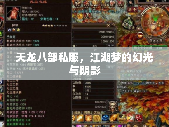 天龙八部私服，江湖梦的幻光与阴影