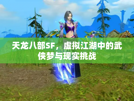天龙八部SF，虚拟江湖中的武侠梦与现实挑战