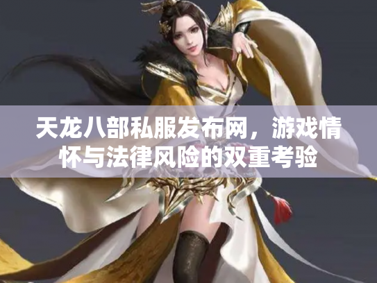 天龙八部私服发布网，游戏情怀与法律风险的双重考验