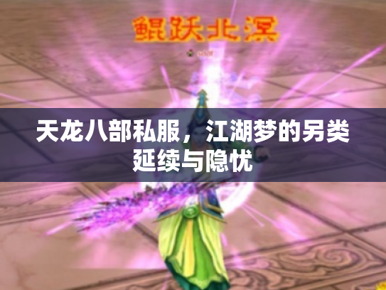 天龙八部私服，江湖梦的另类延续与隐忧
