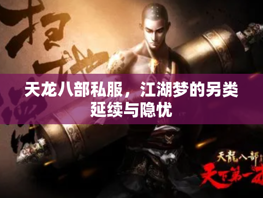 天龙八部私服，江湖梦的另类延续与隐忧