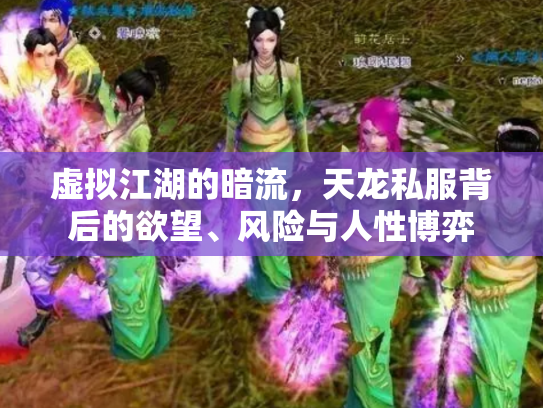 虚拟江湖的暗流，天龙私服背后的欲望、风险与人性博弈