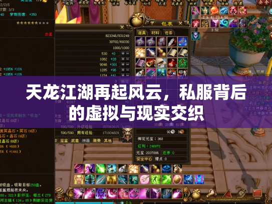 天龙江湖再起风云，私服背后的虚拟与现实交织