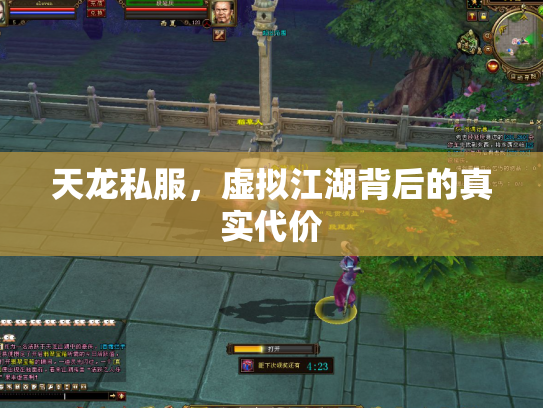天龙私服，虚拟江湖背后的真实代价