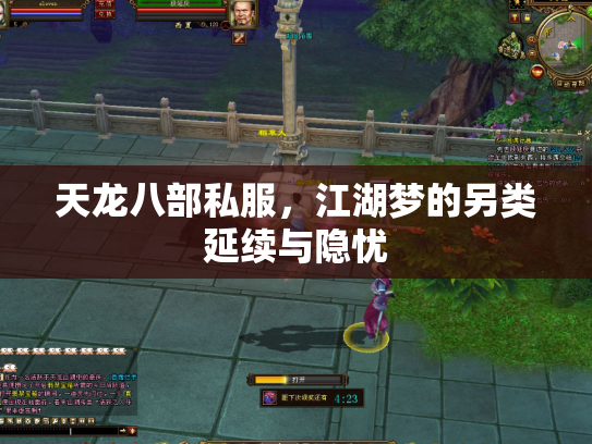 天龙八部私服，江湖梦的另类延续与隐忧