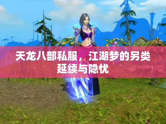 天龙八部私服，江湖梦的另类延续与隐忧