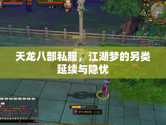 天龙八部私服，江湖梦的另类延续与隐忧