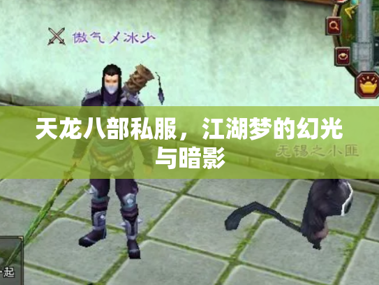 天龙八部私服，江湖梦的幻光与暗影