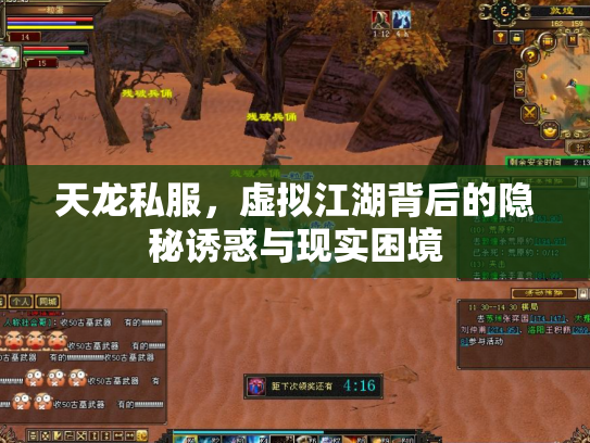 天龙私服，虚拟江湖背后的隐秘诱惑与现实困境