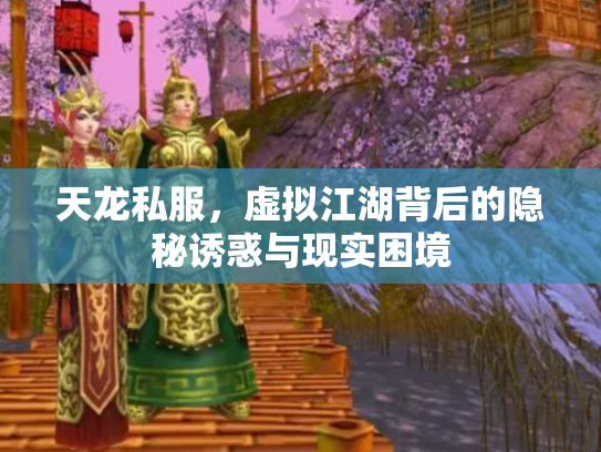 天龙私服，虚拟江湖背后的隐秘诱惑与现实困境